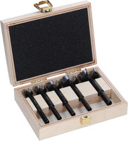 EXPERT Wood Forstnerbohrer Set