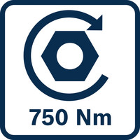 Anziehdrehmoment 750 Nm.