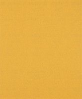 EXPERT C470 Schleifpapier zum Handschleifen