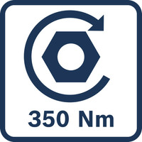 Anzugsdrehmoment 350 Nm.