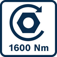 Anzugsdrehmoment 1600 Nm.