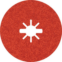 EXPERT R782 Prisma Fiberscheibe, X-LOCK